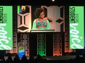 NCTE adichie